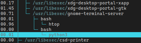 htop-python.png