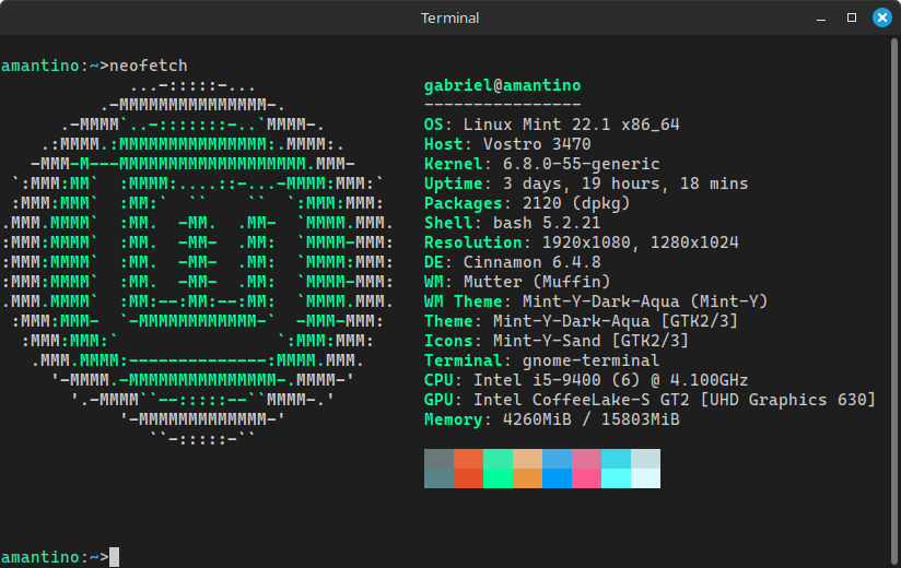 neofetch-amantino.png
